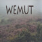 Gerhard Falkner: wemut