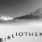 Lyrikstimmen. Die Bibliothek der Poeten (CD)